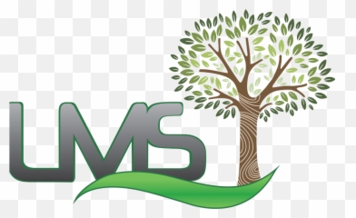 Urban Forests U003d Cleaner Cooler Air - Landscape Mu0026S Ltd Drawing png