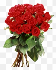 Download Descargar Imagenes De Flores Rojas - Frame Wedding Dell Laptop Vostro 2420 Png,Rosas Rojas Png