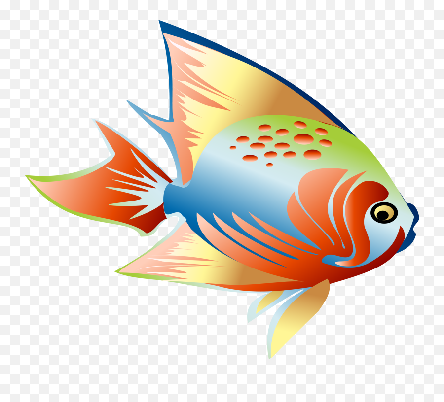 Library Of Fish Fin Image Png Files - Portable Network Graphics,Fin Png
