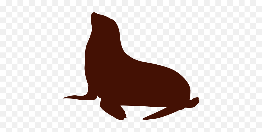 Sea Lion Silhouette Illustration - Siluetas De Leon Marino Png,Sea Lion Png