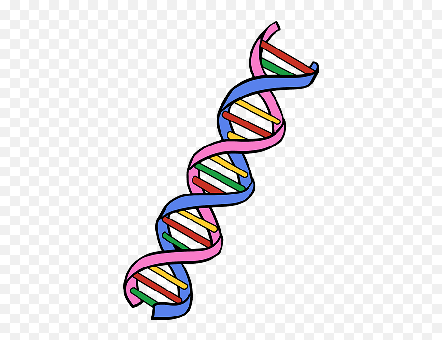 How To Draw Dna - Really Easy Drawing Tutorial Adn Draw Png,Dna Colorful Icon