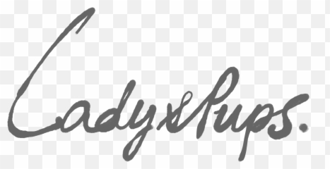 Download Subscribe - Logo PNG Image with No Background Calligraphy