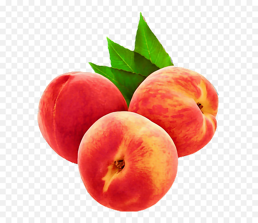 Transparent Png - Fruit Transparent,Tumblr Transparent Png