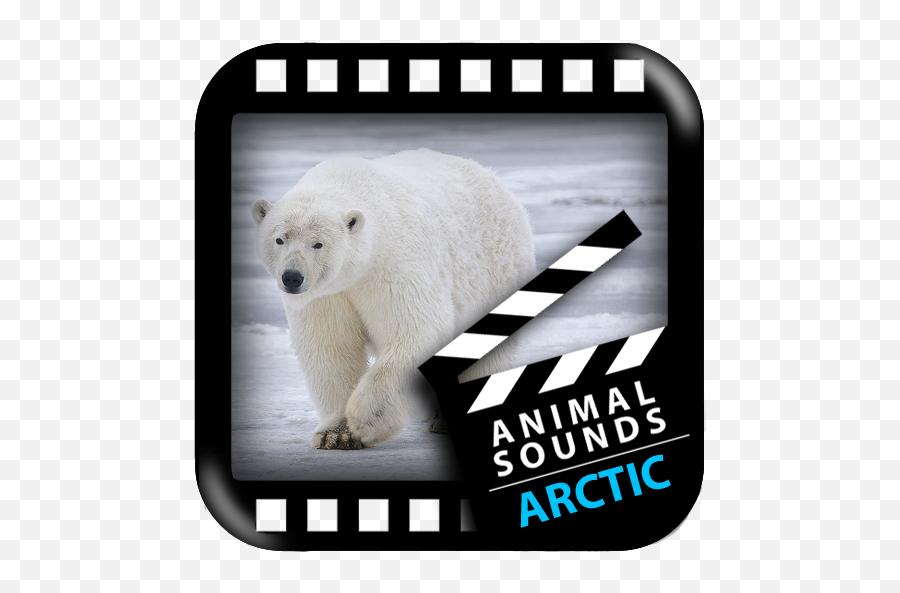 About Best Arctic Animals Sounds Google Play Version - Arctic Animal Sounds Png,Arctic Fox Icon