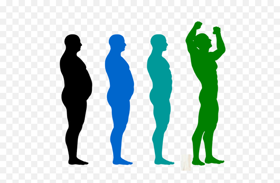 The Rock Martial Arts U0026 Fitness Littleton - Metabolism How It Works Png,The Rock Png