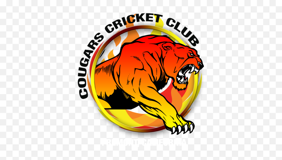 Download Hd Puma Logo Clipart Cricket - Siberian Tiger American International Abu Dhabi Png,Puma Logo Png