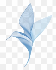 Milwaukee Wi Wedding Planner - Bird png