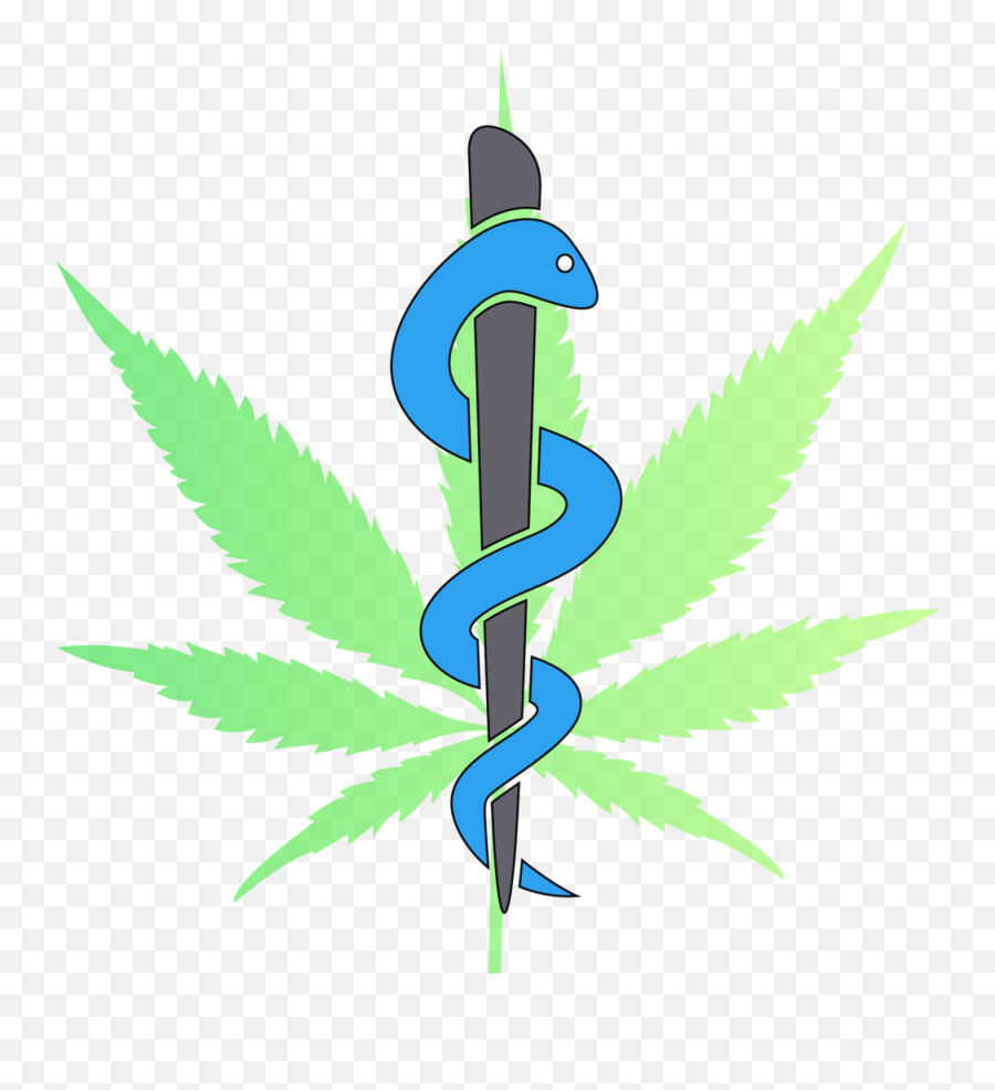 How To Submit Your Florida Medical Marijuana Registry - Medical Cannabis Png,Weed Transparent Background