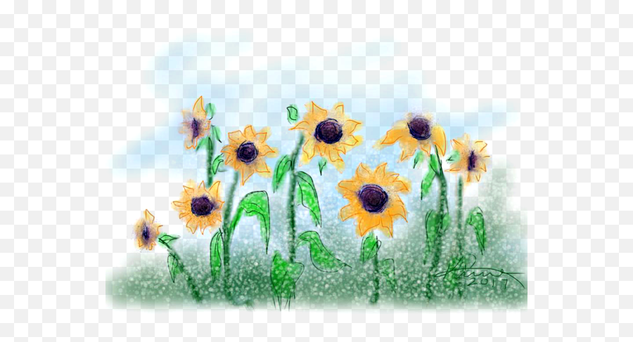 Sunflowers Kids T - Shirt Sunflower Png,Watercolor Sunflower Png
