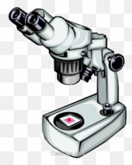 Microscope And Slide Royalty Free Vector Clip Art - Microscope And Slides Clip Art Png,Microscope Transparent Background
