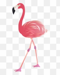 View Full Size Flamingo Png - Transparent Background Flamingo Png,Flamingo Transparent Background