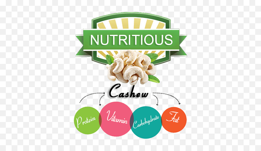 Cashew Nuts Manufacturers In India Suppliers - Cashew Nut Png Logo,Cashew Png