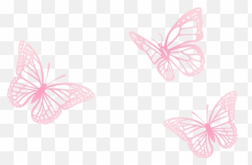 Pink Painted Three Euclidean Vector - Butterfly png