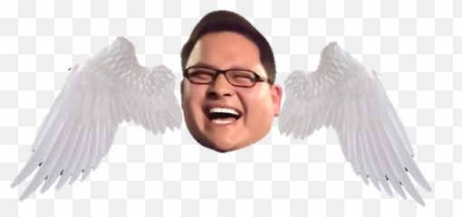 Download Minglee Clap Gore - Full Size Png Image Transparent Png Realistic Angel Wings,Gore Png