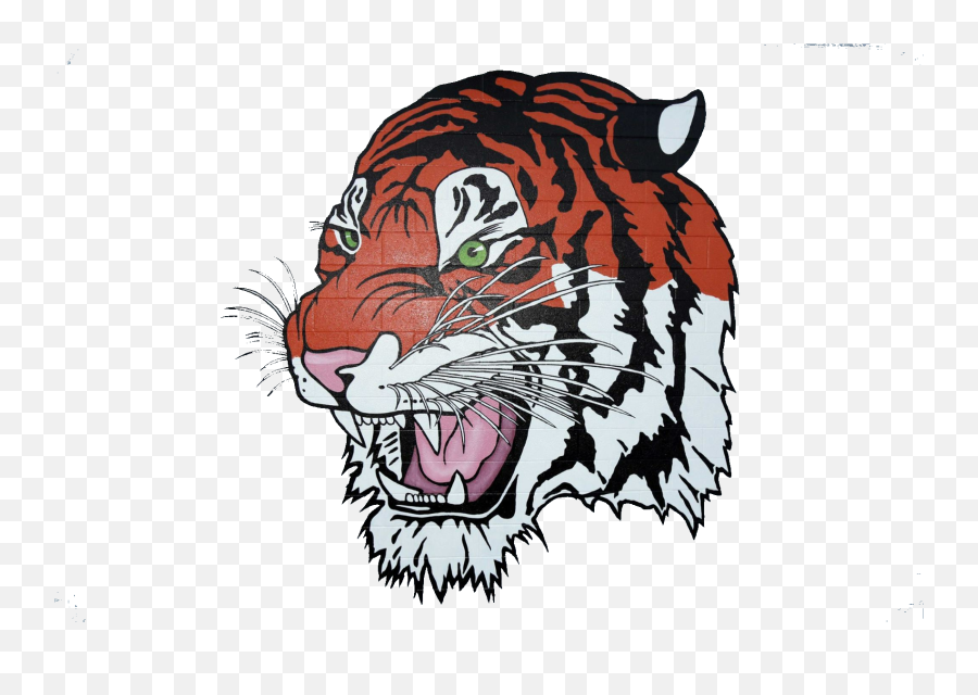 Tiger Clipart Png Image - Tiger Images Png Hd,Tiger Transparent Background