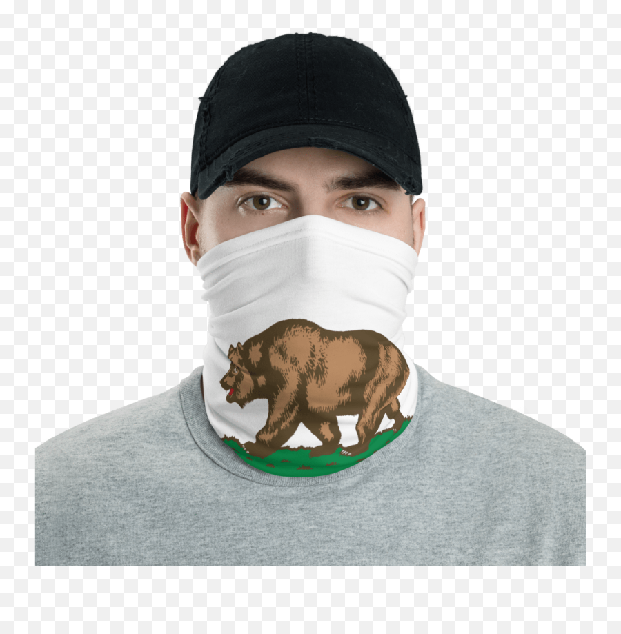 California Flag Neck Gaiter - Epstein Didn T Kill Himself Mask Png,California Flag Png
