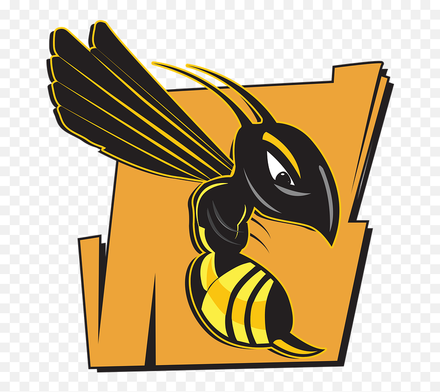 Wasp Bee Hornet - Free Vector Graphic On Pixabay Wasp Png,Hornet Png