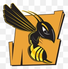 Wasp Bee Hornet - Free Vector Graphic On Pixabay Wasp Png,Hornet Png