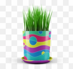 Download Tvi Garden Planters Proposal - Flowerpot Png,Planters Png