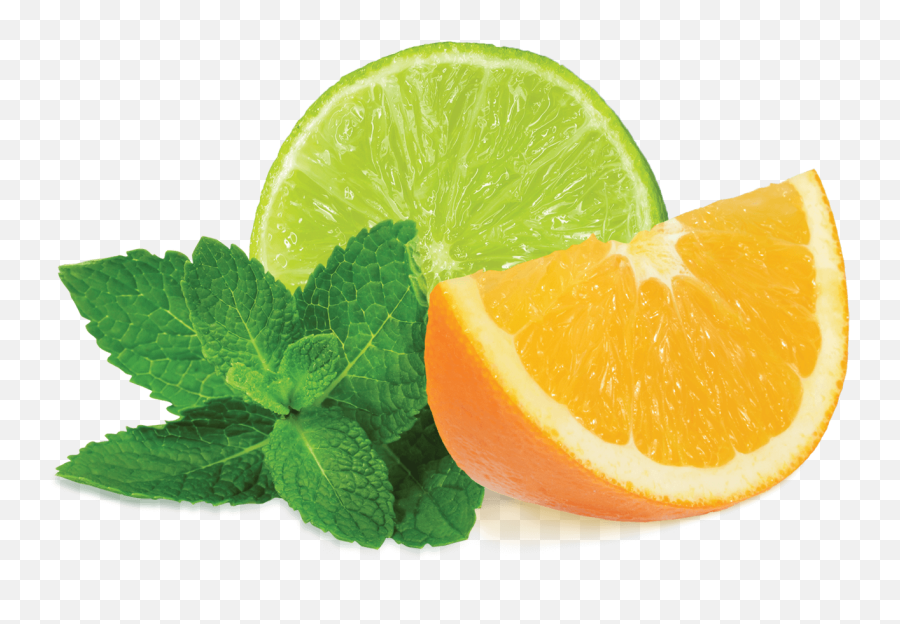 Citrus Mint - Lemon And Mint Png,Citrus Png