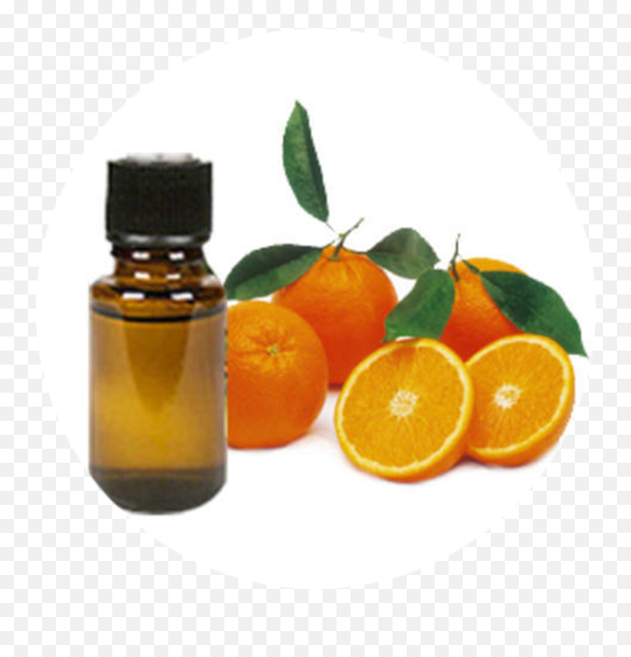 Orange Oil Png U0026 Free Oilpng Transparent Images - Bitter Orange Oil,Essential Oils Png