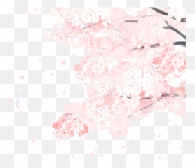 Image 215 - Cherry Blossom Tumblr Transparent png