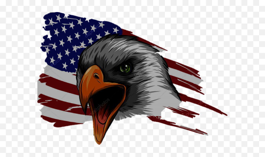 Chester - American Flag White Eagle Clipart Full Size American Flag Eagle Transparent Png,American Flag Eagle Png