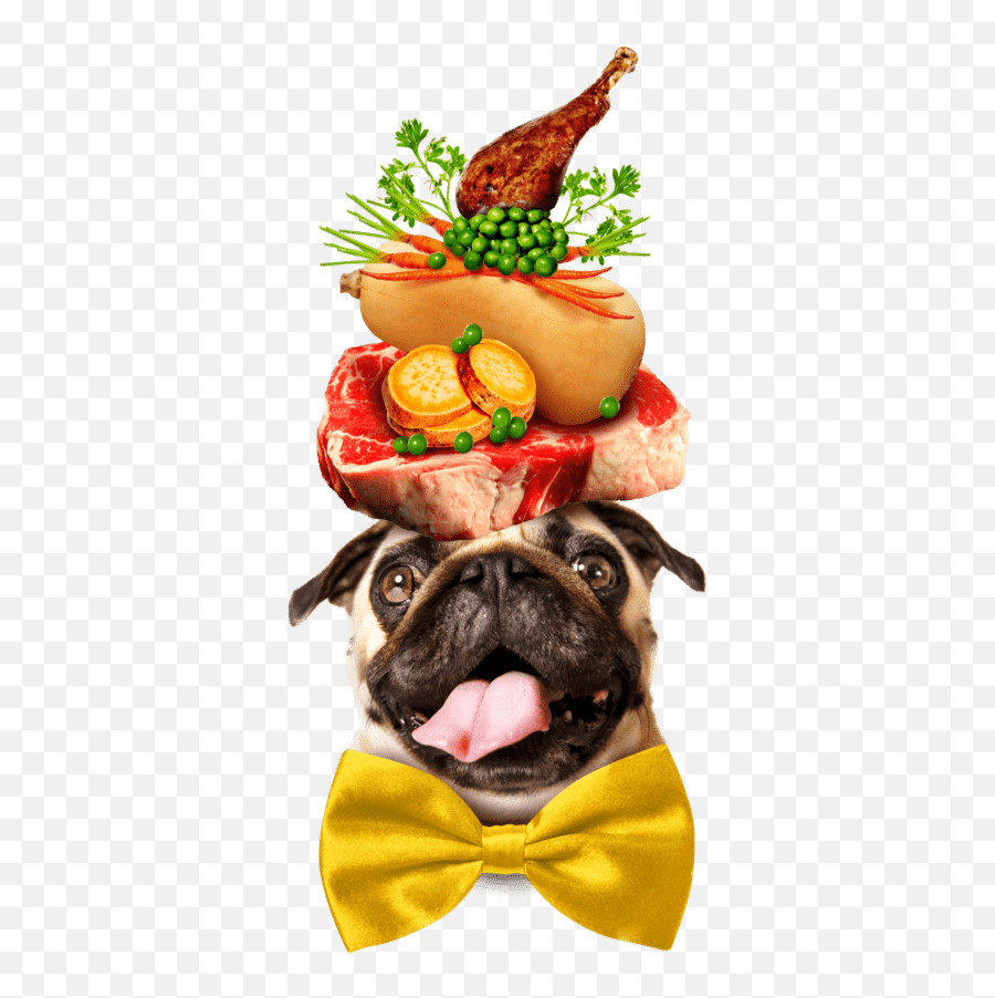 Pet Plate - Fresh Dog Food Delivered Pet Plate Thanksgiving Dog Png,Pet Png