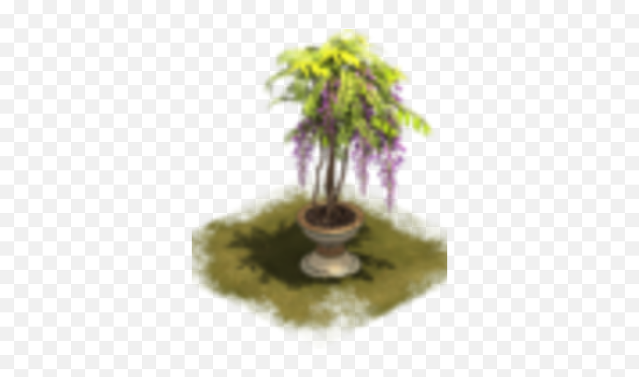Wisteria Topiary - Flowerpot Png,Wisteria Png