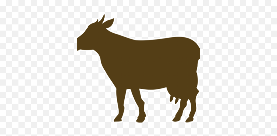 Brown Cow Marketing Bccmrktg Twitter - Brown Cow Icon Transparent Png,Cow Icon