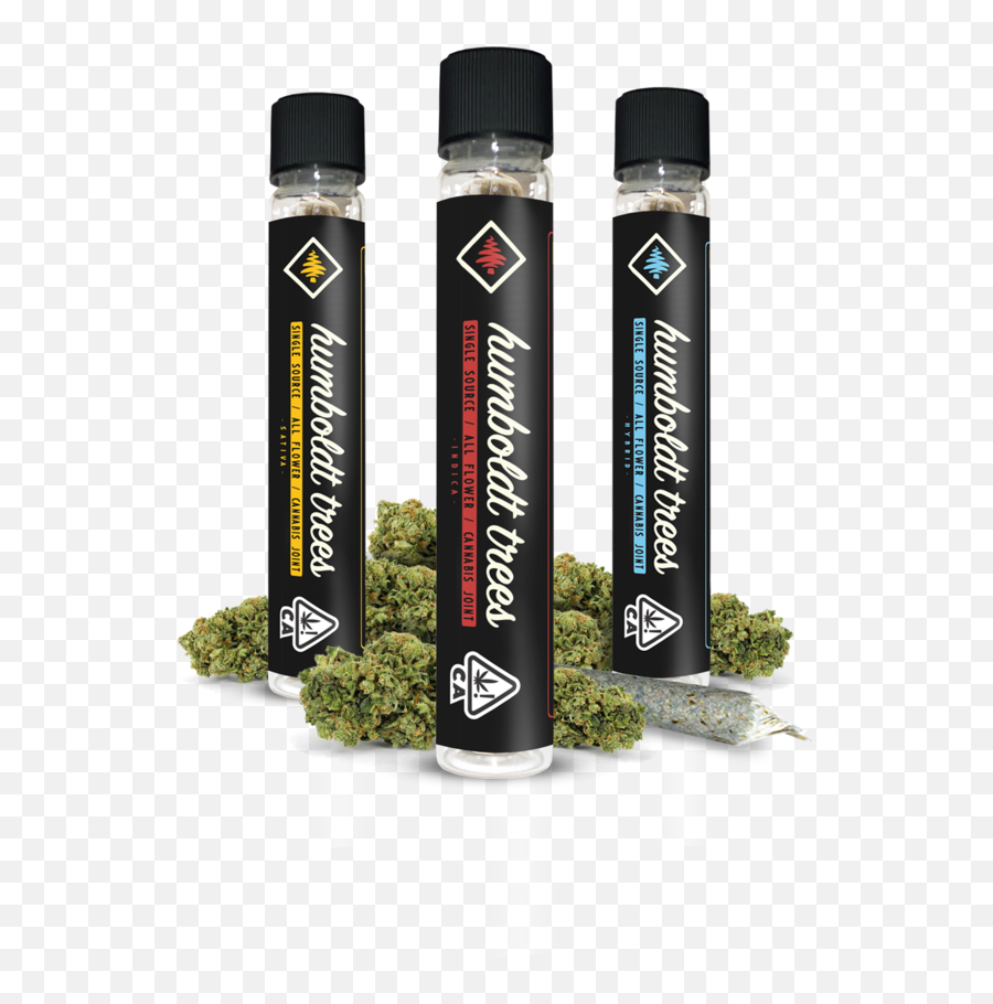 The Legion Of Bloom U2014 Humboldt Trees Pre - Rolls Testing Lucozade Png,Tubes Png