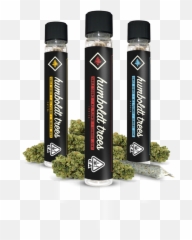The Legion Of Bloom U2014 Humboldt Trees Pre - Rolls Testing Lucozade Png,Tubes Png