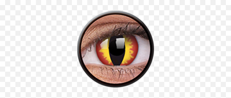 Colourvue Daily Disposable Crazy Lens Dragon Eyes - Contact Lenses Png,Crazy Eyes Png