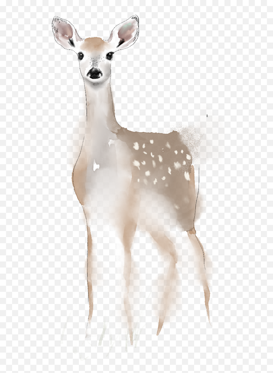 Wedding Stationery - Animal Figure Png,Deer Icon Tumblr