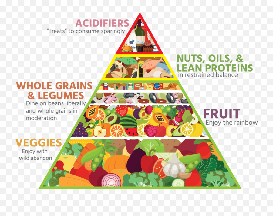 Download Hd Baileyu0027s Food Pyramid - 2016 Healthy Food Healthy Food Pyramid Transparent Png,Pyramid Png