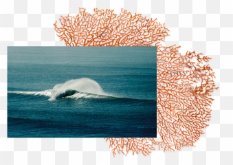 La Mer Blue Heart Supporting Ocean Conservation Projects - Ocean Png,Blue Heart Png