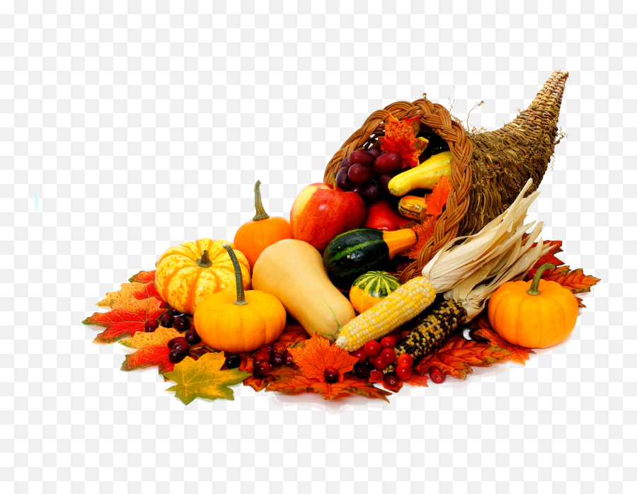 Download Delicious Way Cornucopia Png - Thanksgiving Cornucopia Png,Cornucopia Png