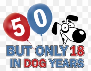 Cool 50th Birthday Designs Kids T - Shirt Graphic png
