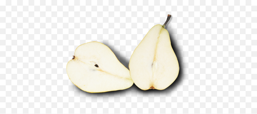 Download Pears - Pear Png Image With No Background Pngkeycom Pear,Pear Png