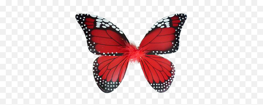 Butterfly Birthday Party - Red Butterfly Wings Png,Butterfly Wing Png