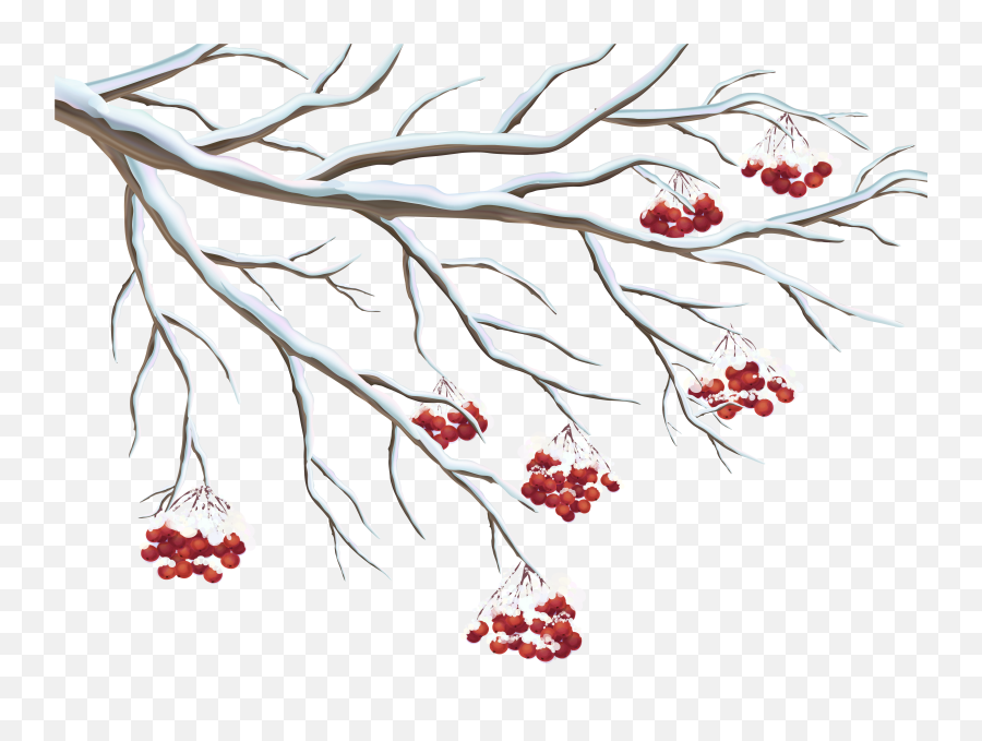 Berry Clipart Branch Transparent - Winter Clipart Transparent Background Png,Branch Transparent