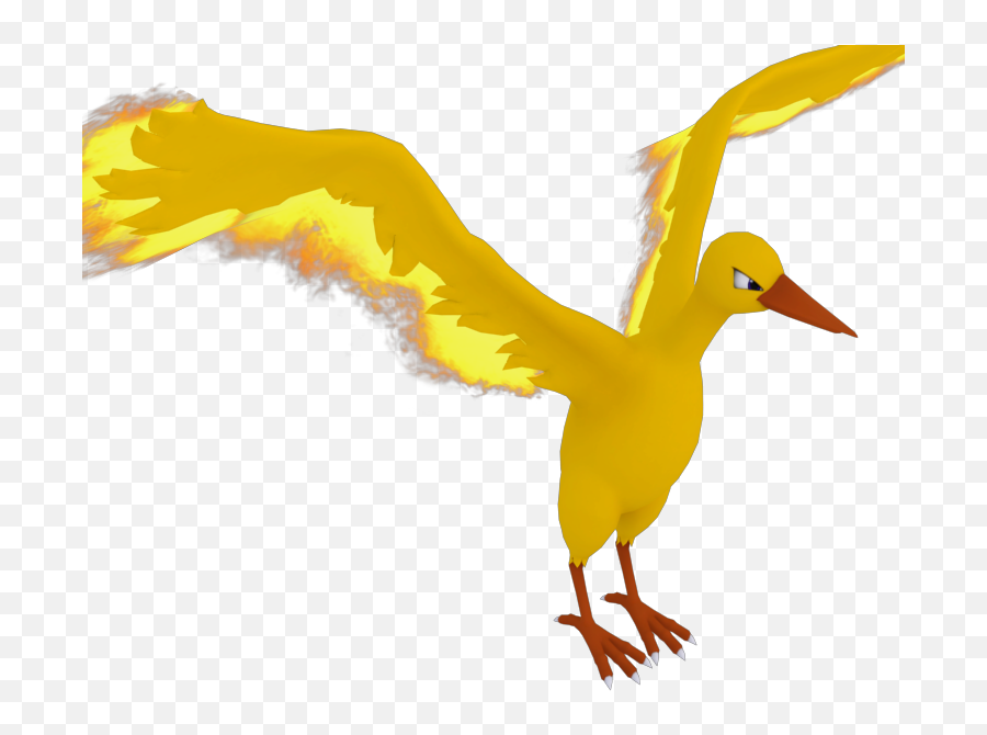 Wii U - Duck Png,Moltres Png