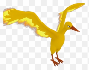 Wii U - Duck Png,Moltres Png