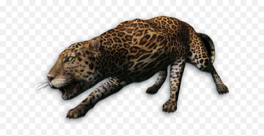 Leopard Transparent Dangerous Picture 2694548 - Far Cry Primal Jaguar Png,Snow Leopard Png