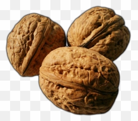 Walnuts Png Free Download - Walnut Transparent Free,Walnut Png