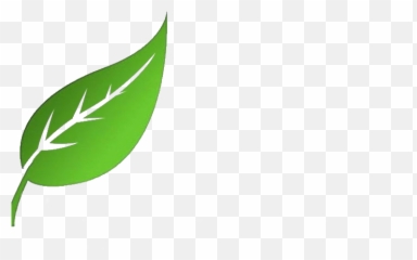 Templates Printable - Portable Network Graphics Png,Green Leaves Png