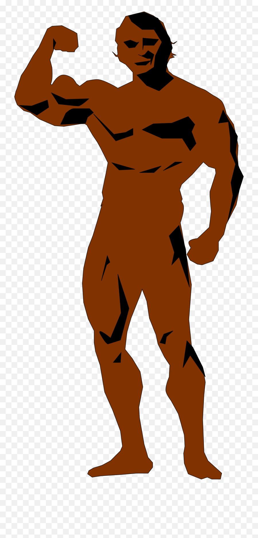 Download Free Png Body Builder - Dlpngcom Tone Body Icons,Body Builder Png