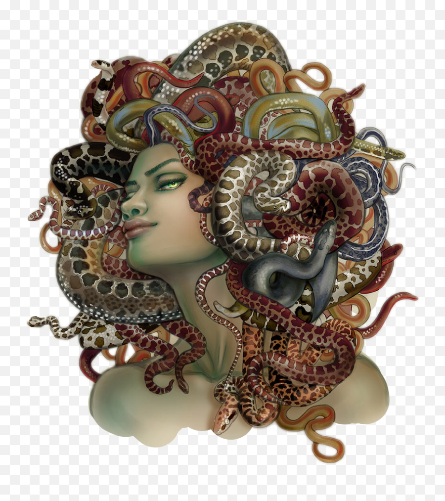 Download Hd Popular And Trending Medusa - Greek Mythology Medusa Png,Medusa Png