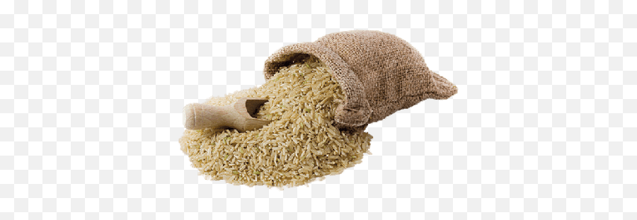 Bag With Spilled Rice And Scoop - Transparent Sack Of Rice Png,Rice Hat Png