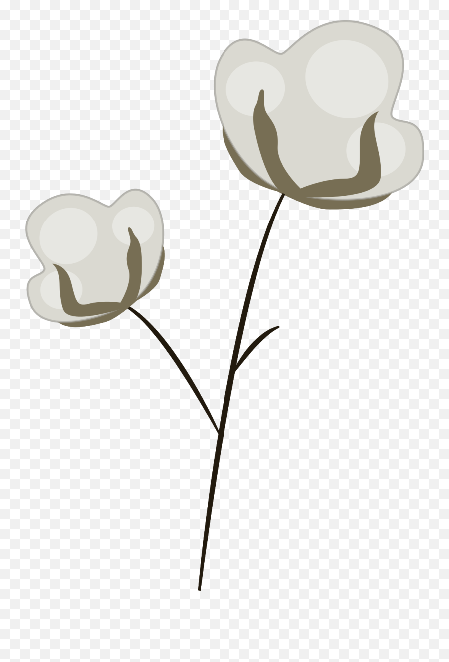 Free Dried Flower Png With Transparent - Transparent Dried Flower Png,Png Flowers